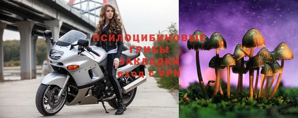 спиды Армянск