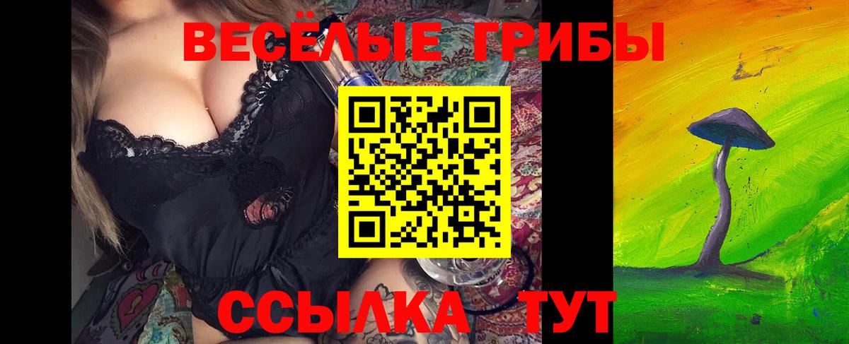 Псилоцибиновые грибы мицелий Лениногорск