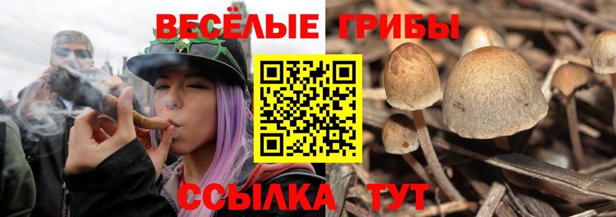 Галлюциногенные грибы прущие грибы  Вход с VPN  Лениногорск  Галлюциногенные грибы MAGIC MUSHROOMS 