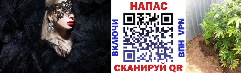 как найти наркотики Лениногорск МАРИХУАНА LSD WEED
